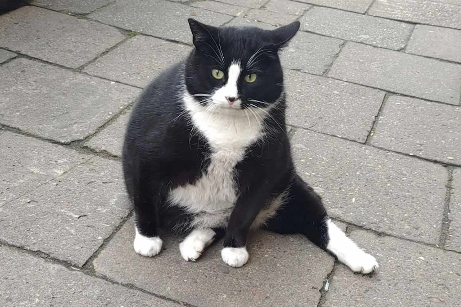 Image not found