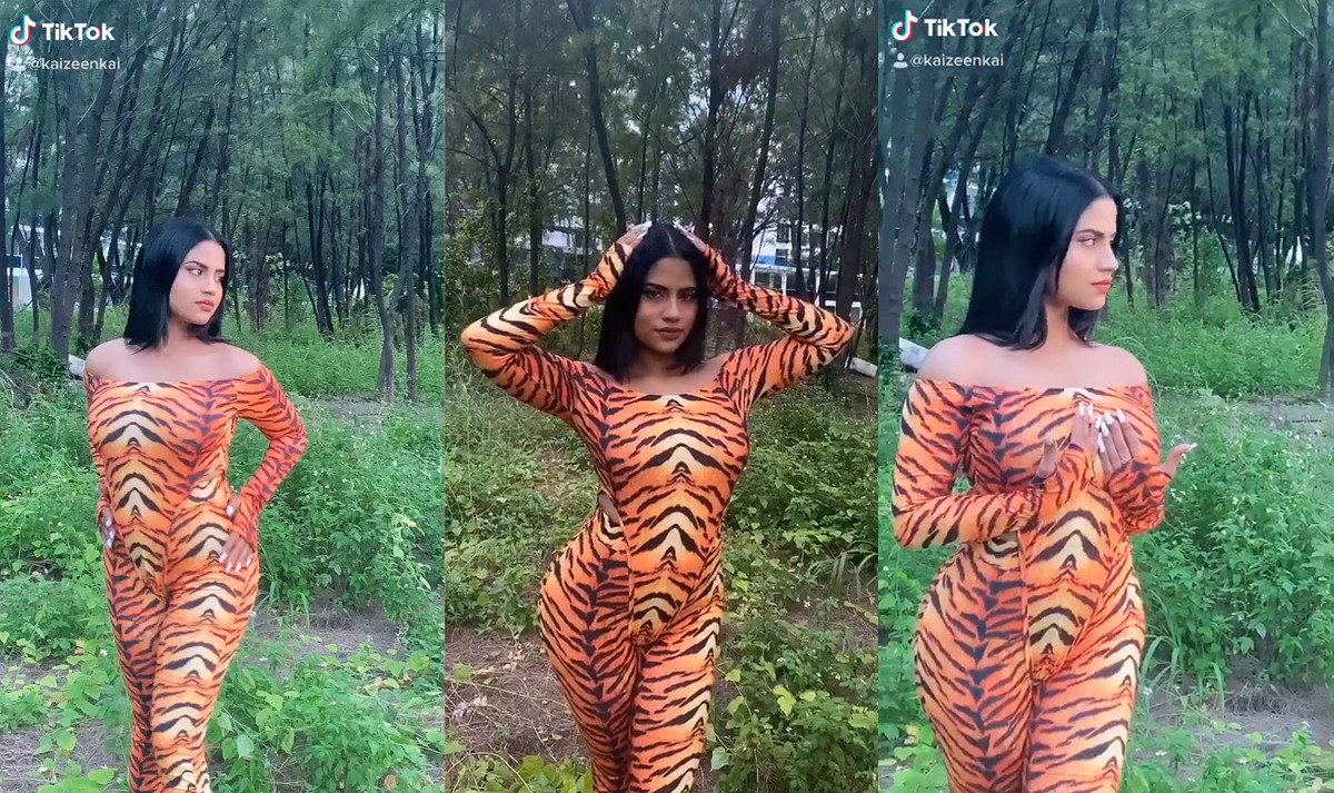 Image not found