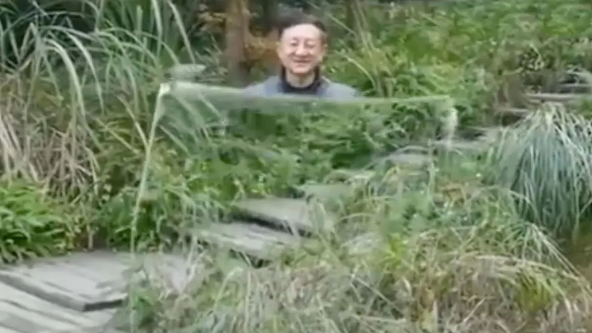Image not found